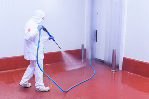 Best Graffiti Removal  in Davenport, FL